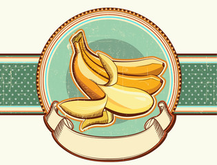 Vintage label with fresh bananas.Vector illustration for text