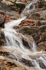 Detail of a river