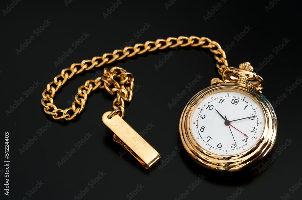 Canvas Prints pocket watch