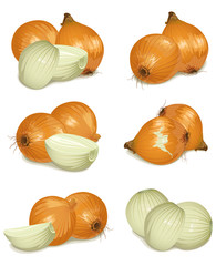 set of onion