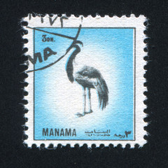 Demoiselle Crane