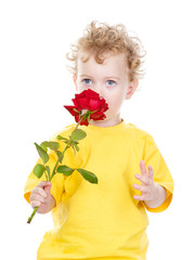 Portrait of pretty boy smelling red rose. isolated on white