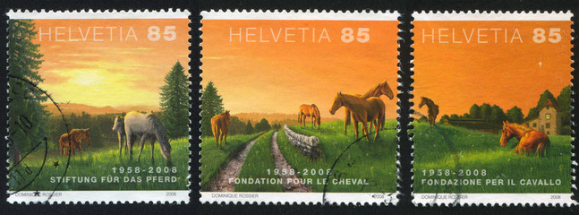 Horses and sun