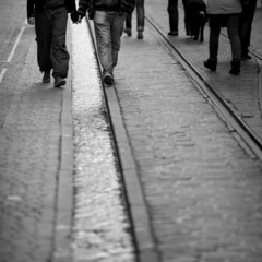 walking over canals of freiburg