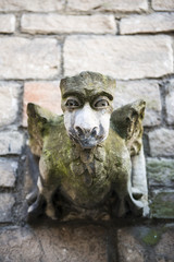 Obraz premium Gargoyle