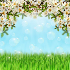 Obraz na płótnie Canvas Grass,soap bubbles and bloom branches