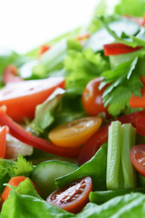 salad with vegetable