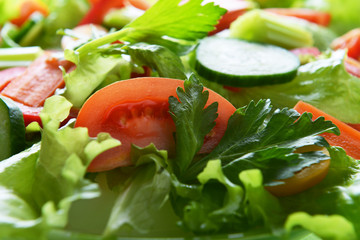 salad with vegetable