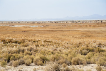 landscape of Gobi desert
