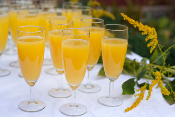 Glasses with champagne and orange juice on wedding