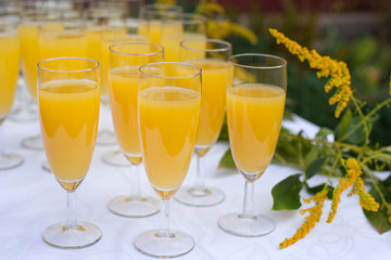 Glasses with champagne and orange juice on wedding