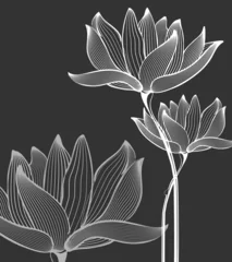 Photo sur Plexiglas Fleurs noir et blanc Fond de fleurs sur fond noir