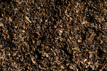 Dried black tea leaves