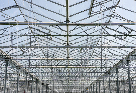 Greenhouse Roof