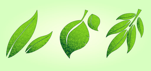 Naklejka premium Three ornate leaves icons