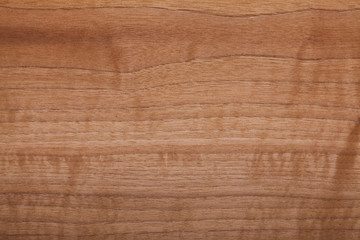 Fototapeta premium wood texture