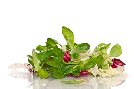 fresh salad with arugula