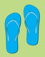 Blue flip flops