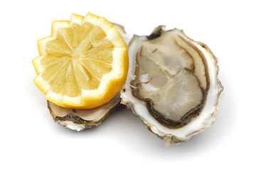 Oyster and lemon on white