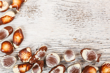 Fototapeta na wymiar Chocolate seashell candies