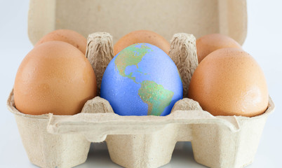 eggs with world earth texture