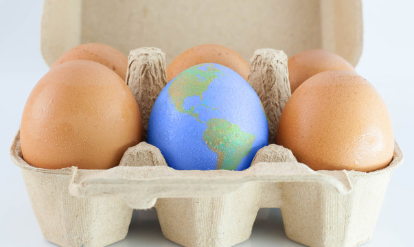 eggs with world earth texture