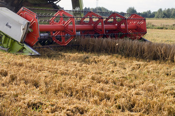 closeup combine harvest wheat agriculture field