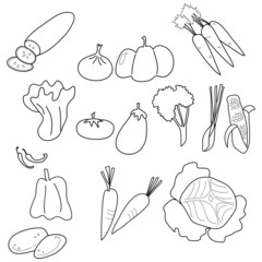 hand drawing vegetable