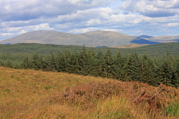 hills of Scotland