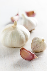 Garlic