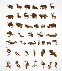 vector collection of animal icons