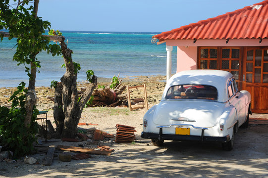 Cuban farm