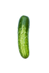 green cucumber isolated on white background