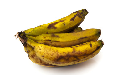 Canary bananas