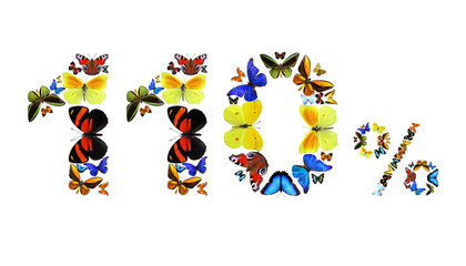 100 Prozent - Schmetterlinge