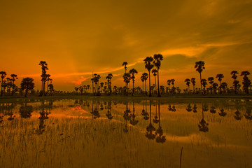 Naklejka premium Sunset