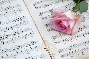 rosa Rose auf antiken Musiknoten