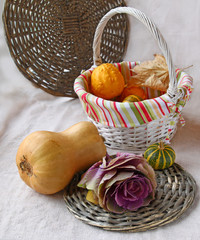 Autumn still life with cabbage and pumpkins on a background a ca