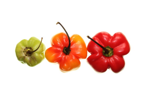 piments antillais dessus