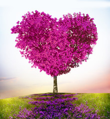 Fototapeta na wymiar Drzewo miłości
