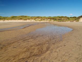 Tasmanian beach