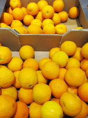 Citrus orange fruits in box supermarket