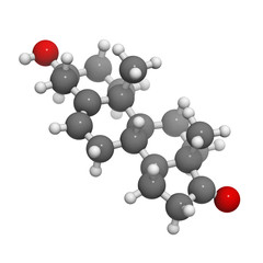 Dehydroepiandrosterone (DHEA, prasterone) steroid molecule, chem