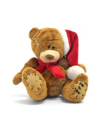 Teddy Bear with christmas hat