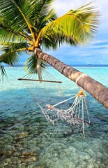 Beach hammock