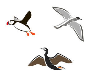 Isolated sea birds
