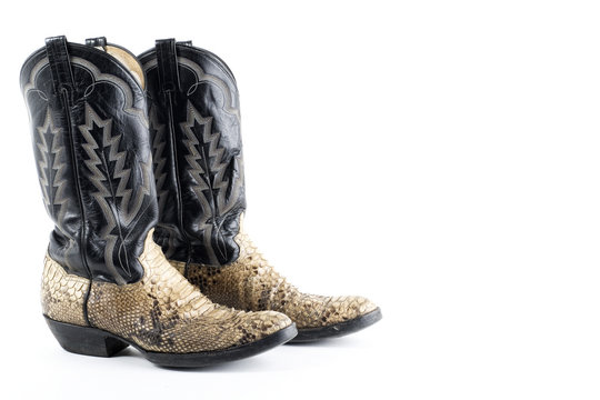 Snake leather cowboy boots on white
