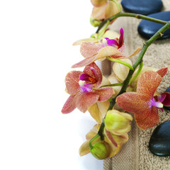 Obraz na płótnie Canvas spa composition with beautiful orchid