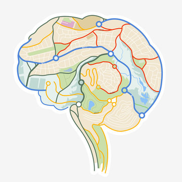 Brain Map. An illustration of a human brain made up from a map.