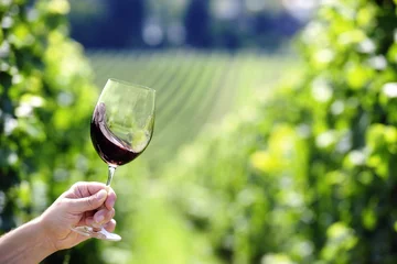 Abwaschbare Fototapete Wein Red wine swiveling in a glass, vineyard in the background